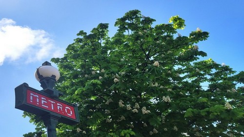 Paris Métro Tourist Itinerary & Tips